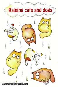Raining Cats and Dogs