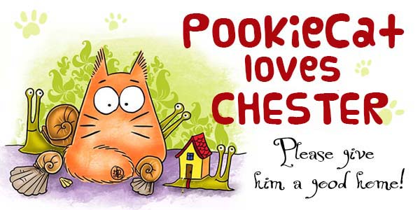 Pookiecat-loves